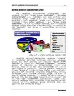 Diplomdarbs 'Tirgus izpēte un mārketinga iespēju noteikšana uzņēmumā', 49.