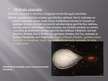 Prezentācija 'Visuma un zvaigžņu evolūcija', 15.