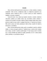 Referāts 'Datoru lietošana mūsdienu sabiedrībā', 3.