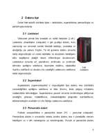 Referāts 'Datoru lietošana mūsdienu sabiedrībā', 6.