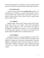 Referāts 'Datoru lietošana mūsdienu sabiedrībā', 7.