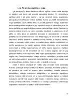 Referāts 'Datoru lietošana mūsdienu sabiedrībā', 10.