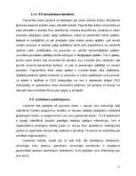 Referāts 'Datoru lietošana mūsdienu sabiedrībā', 11.