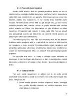 Referāts 'Datoru lietošana mūsdienu sabiedrībā', 14.