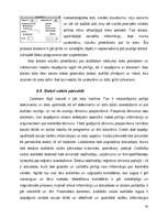 Referāts 'Datoru lietošana mūsdienu sabiedrībā', 20.