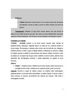 Konspekts 'Communication Partners Versatility Cultural Communication', 5.