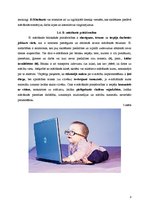 Referāts 'Informācijas tehnoloģiju pielietojums skolās', 8.