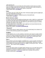 Referāts 'Interneta attīstības tendences', 13.