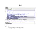 Referāts 'Apkārtējās vides piesārņojuma problēmas un to risinājumi', 2.