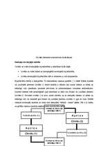 Referāts 'Apkārtējās vides piesārņojuma problēmas un to risinājumi', 13.