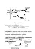 Referāts 'Apkārtējās vides piesārņojuma problēmas un to risinājumi', 17.