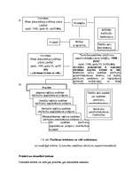 Referāts 'Apkārtējās vides piesārņojuma problēmas un to risinājumi', 20.
