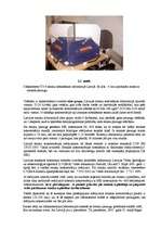 Referāts 'Apkārtējās vides piesārņojuma problēmas un to risinājumi', 28.