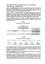 Referāts 'Apkārtējās vides piesārņojuma problēmas un to risinājumi', 34.