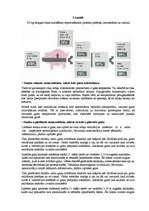 Referāts 'Apkārtējās vides piesārņojuma problēmas un to risinājumi', 37.