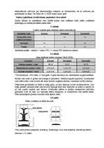 Referāts 'Apkārtējās vides piesārņojuma problēmas un to risinājumi', 40.