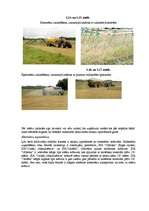 Referāts 'Apkārtējās vides piesārņojuma problēmas un to risinājumi', 45.