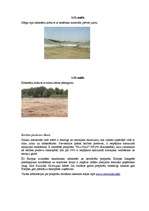 Referāts 'Apkārtējās vides piesārņojuma problēmas un to risinājumi', 46.