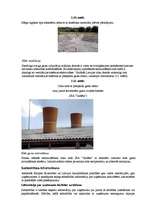 Referāts 'Apkārtējās vides piesārņojuma problēmas un to risinājumi', 47.