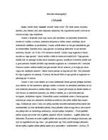 Konspekts 'Cunami', 1.