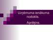 Prezentācija 'Uzņēmuma ienākuma nodoklis un tā aprēķins', 1.