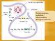 Prezentācija 'Olbaltumvielas', 12.