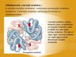 Prezentācija 'Olbaltumvielas', 13.