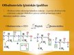 Prezentācija 'Olbaltumvielas', 15.