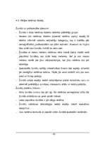 Referāts 'Reklāma kā mārketinga komunikācijas forma, tās īpatnības', 43.