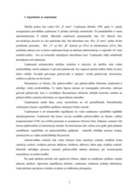 Prakses atskaite 'Prakses atskaite finanšu grāmatvedībā', 3.