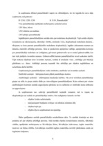 Prakses atskaite 'Prakses atskaite finanšu grāmatvedībā', 8.