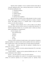 Prakses atskaite 'Prakses atskaite finanšu grāmatvedībā', 15.