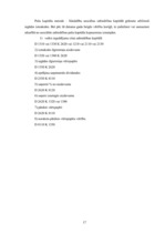 Prakses atskaite 'Prakses atskaite finanšu grāmatvedībā', 17.