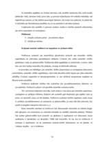 Prakses atskaite 'Prakses atskaite finanšu grāmatvedībā', 19.