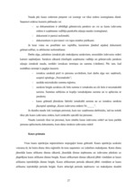 Prakses atskaite 'Prakses atskaite finanšu grāmatvedībā', 27.