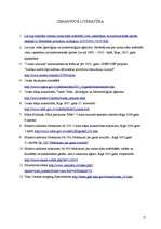 Referāts 'Ozona slāņa noārdīšanās', 17.