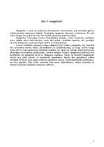 Referāts 'Neogotika - neliela pērle Rīgas arhitektūras ainavā', 4.