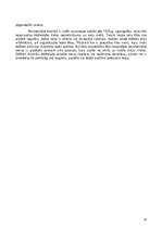 Referāts 'Neogotika - neliela pērle Rīgas arhitektūras ainavā', 10.