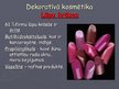 Prezentācija 'Mazgāšanas un kosmētikas līdzekļi', 7.