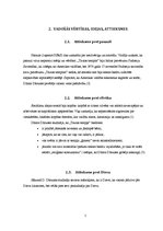 Referāts 'Džonstaunas traģēdija', 5.