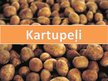 Prezentācija 'Kartupeļi', 1.