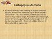 Prezentācija 'Kartupeļi', 7.