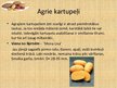 Prezentācija 'Kartupeļi', 9.