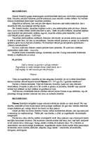 Konspekts 'Sofistika. Sokrats. Platons', 3.