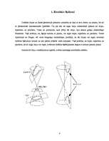 Referāts 'Hiperbola un parabola kā otrās kārtas algebriskās līnijas', 9.