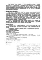 Referāts 'Komandas veidošanas psiholoģiskie pamati', 7.