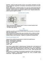 Konspekts 'Bioloģijas ieskaites biļetes', 2.