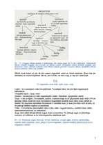 Konspekts 'Bioloģijas ieskaites biļetes', 5.