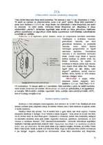 Konspekts 'Bioloģijas ieskaites biļetes', 13.