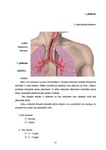Referāts 'Lēkmju profilakse bronhiālās astmas pacientiem', 35.